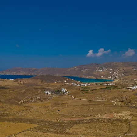 فيلة Amarelo *